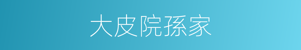 大皮院孫家的同義詞
