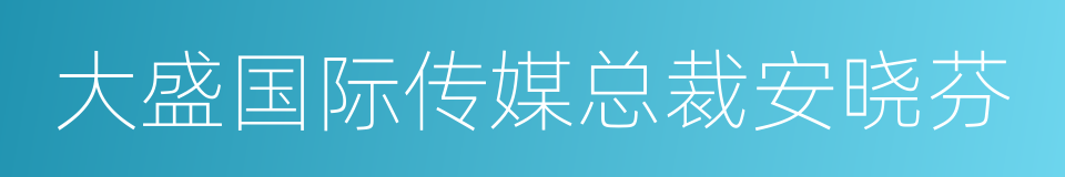 大盛国际传媒总裁安晓芬的同义词