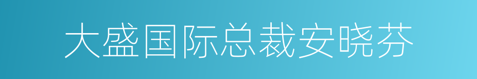 大盛国际总裁安晓芬的同义词