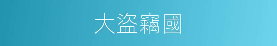 大盜竊國的意思
