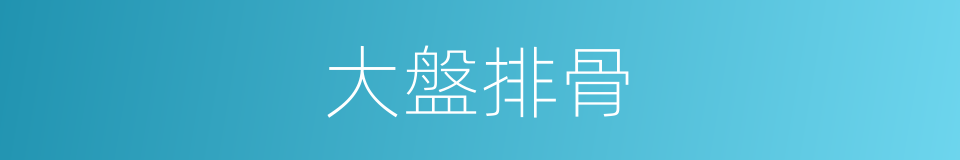 大盤排骨的同義詞