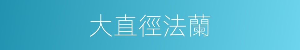 大直徑法蘭的同義詞
