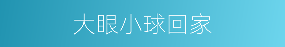 大眼小球回家的同义词
