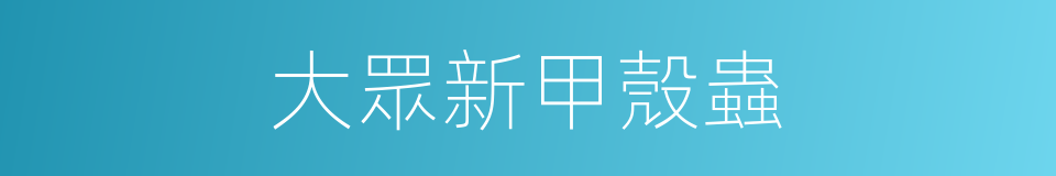 大眾新甲殼蟲的同義詞