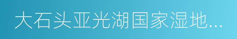 大石头亚光湖国家湿地公园的同义词