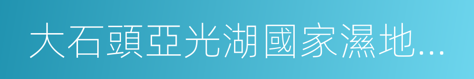 大石頭亞光湖國家濕地公園的同義詞