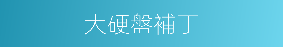 大硬盤補丁的同義詞
