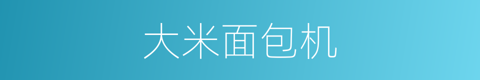 大米面包机的同义词