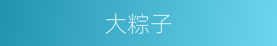 大粽子的同义词