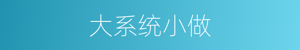 大系统小做的同义词