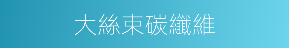 大絲束碳纖維的同義詞
