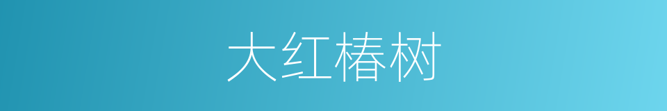 大红椿树的同义词
