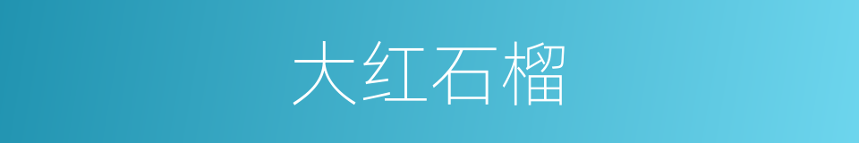 大红石榴的同义词