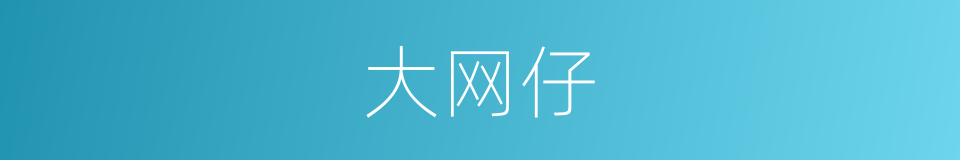大网仔的同义词