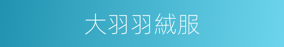 大羽羽絨服的同義詞