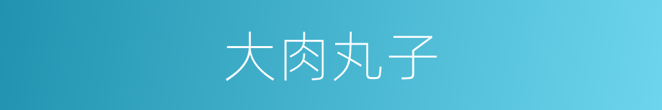 大肉丸子的同义词
