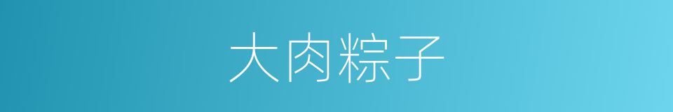 大肉粽子的同义词