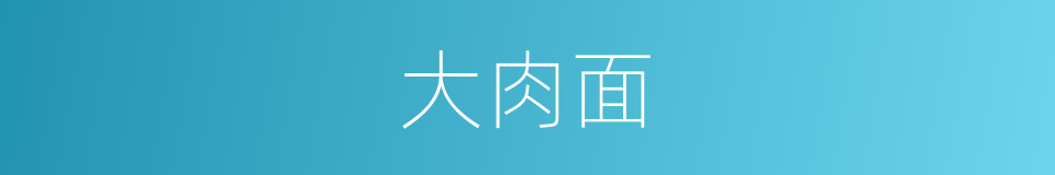 大肉面的同义词