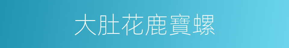 大肚花鹿寶螺的同義詞