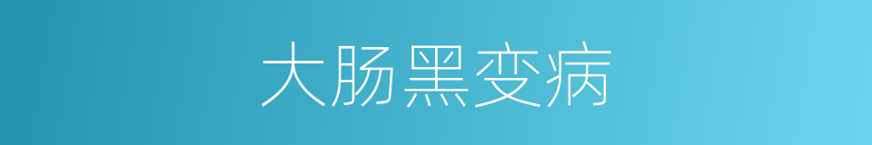 大肠黑变病的同义词