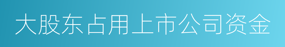 大股东占用上市公司资金的同义词