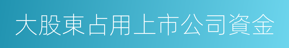 大股東占用上市公司資金的同義詞