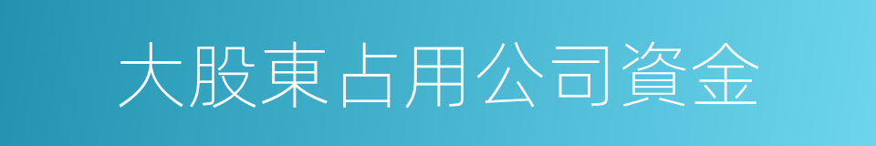 大股東占用公司資金的同義詞