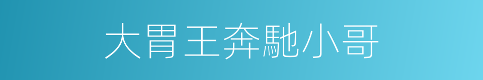 大胃王奔馳小哥的同義詞