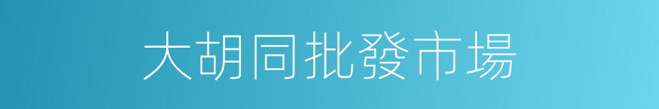 大胡同批發市場的同義詞