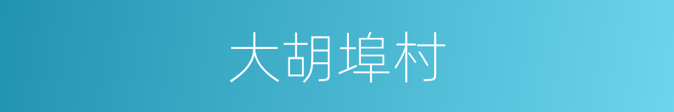 大胡埠村的同义词