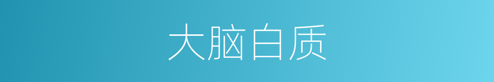 大脑白质的同义词