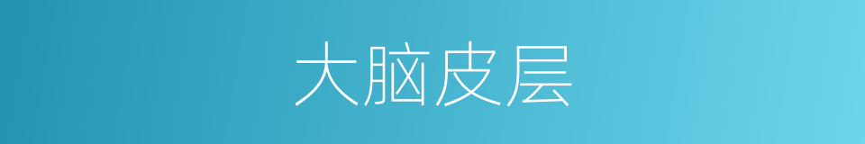 大脑皮层的意思
