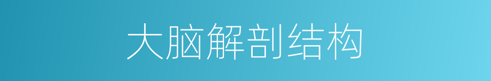 大脑解剖结构的同义词