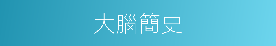 大腦簡史的同義詞