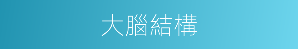 大腦結構的同義詞