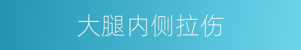 大腿内侧拉伤的同义词