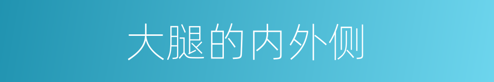 大腿的内外侧的同义词
