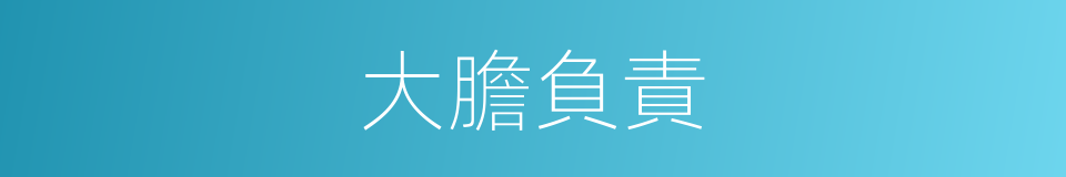 大膽負責的同義詞