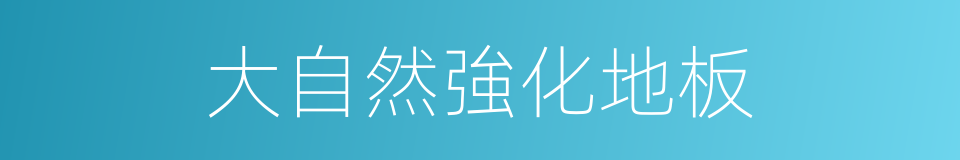 大自然強化地板的同義詞
