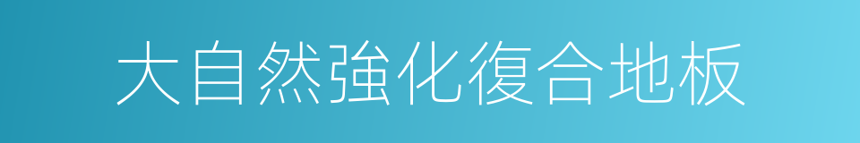 大自然強化復合地板的同義詞