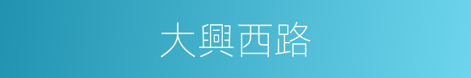 大興西路的同義詞