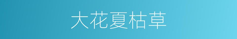 大花夏枯草的同义词
