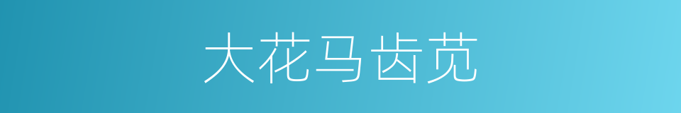 大花马齿苋的同义词