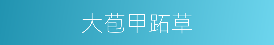 大苞甲跖草的同义词