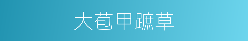 大苞甲蹠草的同義詞