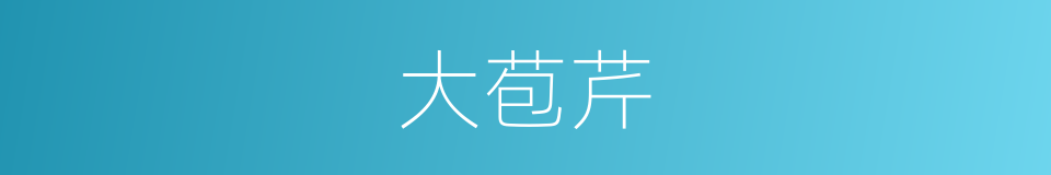 大苞芹的同义词