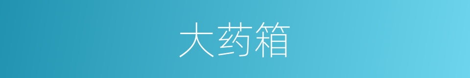 大药箱的同义词