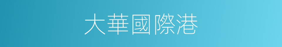 大華國際港的同義詞