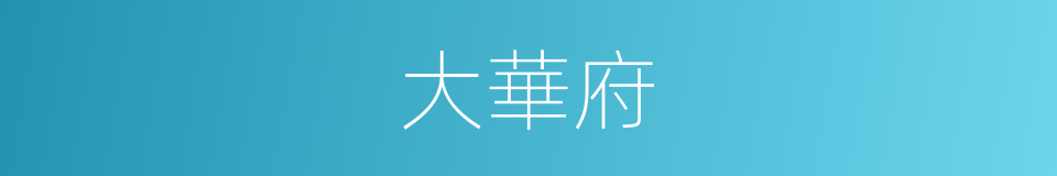 大華府的同義詞