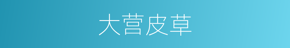 大营皮草的同义词